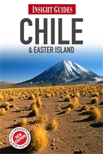 Insight Chile