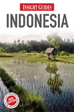 Insight Indonesia